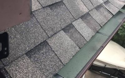 Should I get gutter screens?