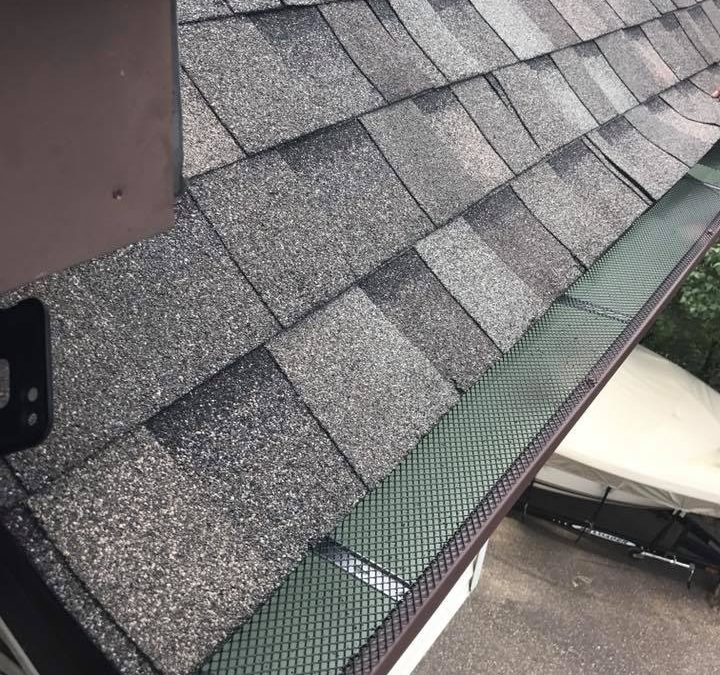 Should I get gutter screens?